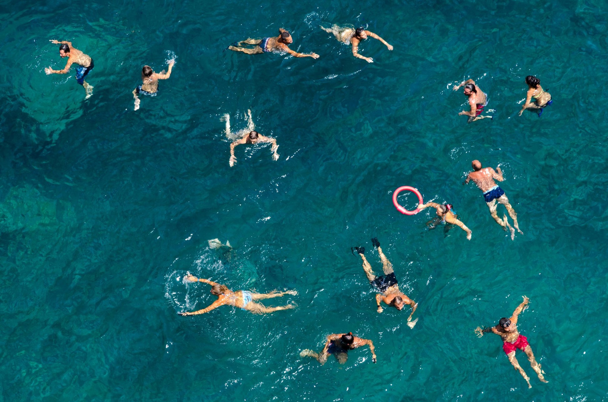 Blue water swim - Poster / Art Print