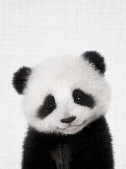 Peekaboo Baby Panda - Poster / Art Print