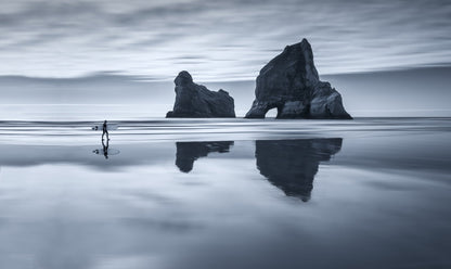 Wharariki dream - Poster / Art Print