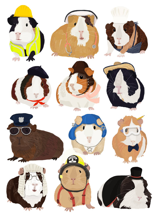 Guinea Pig Working Hr - Poster / Art Print
