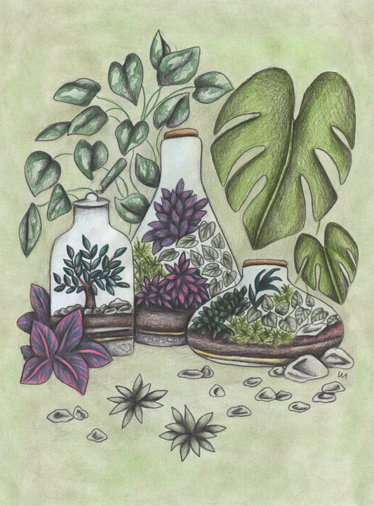 Magical Terrariums - Poster / Art Print