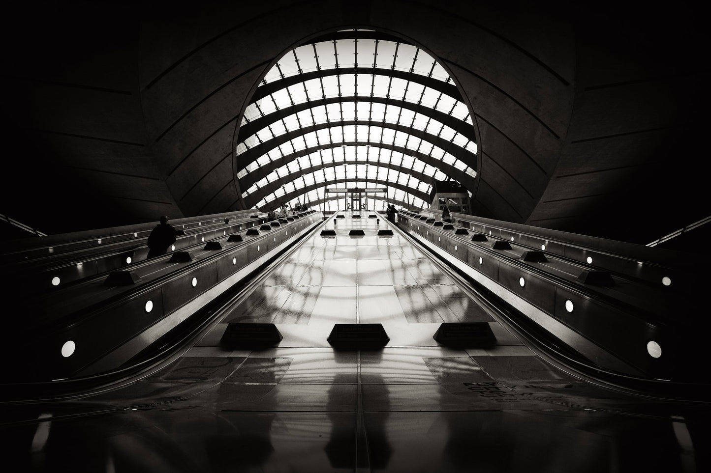Embarkation - Poster / Art Print