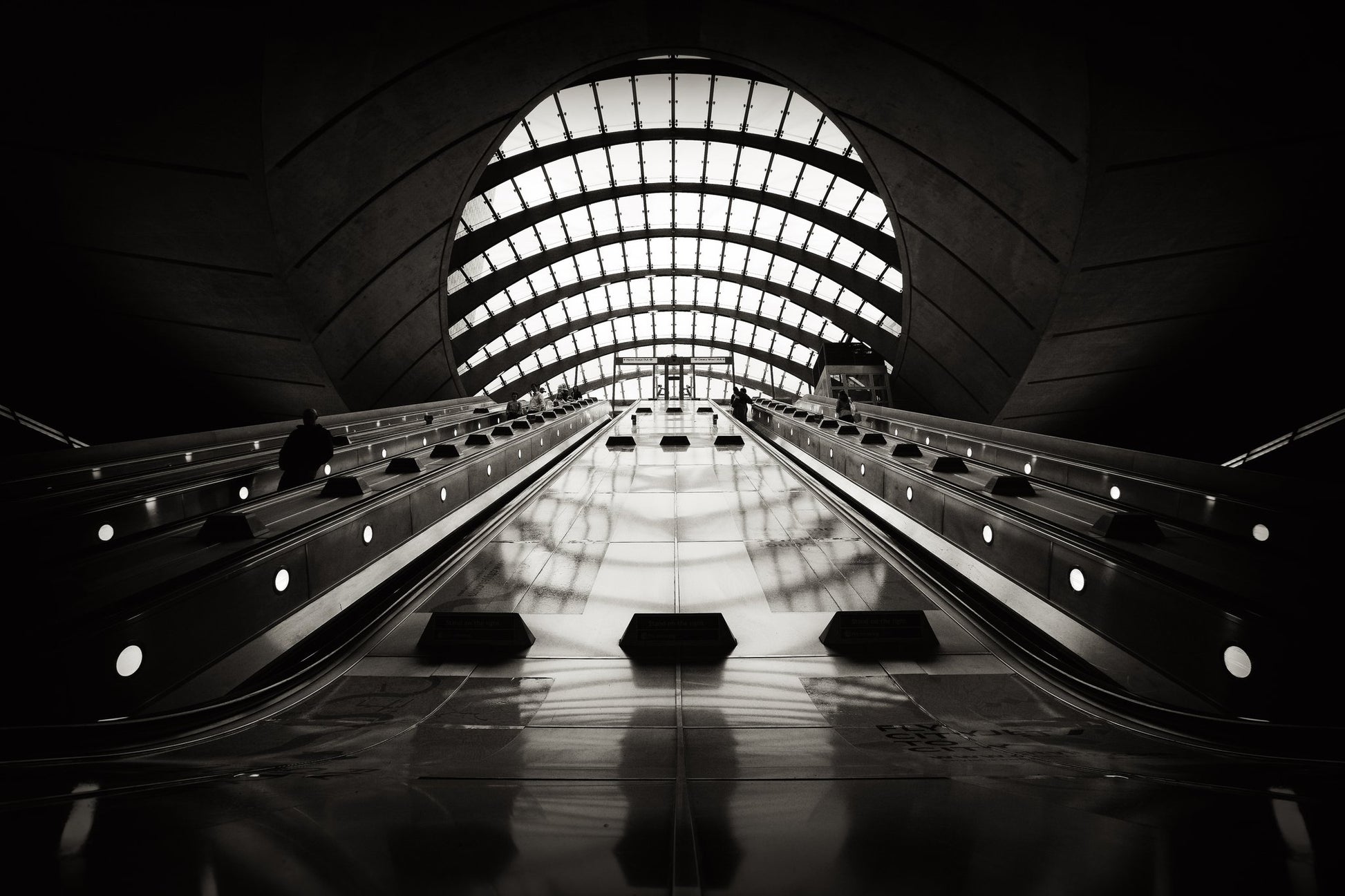 Embarkation - Poster / Art Print
