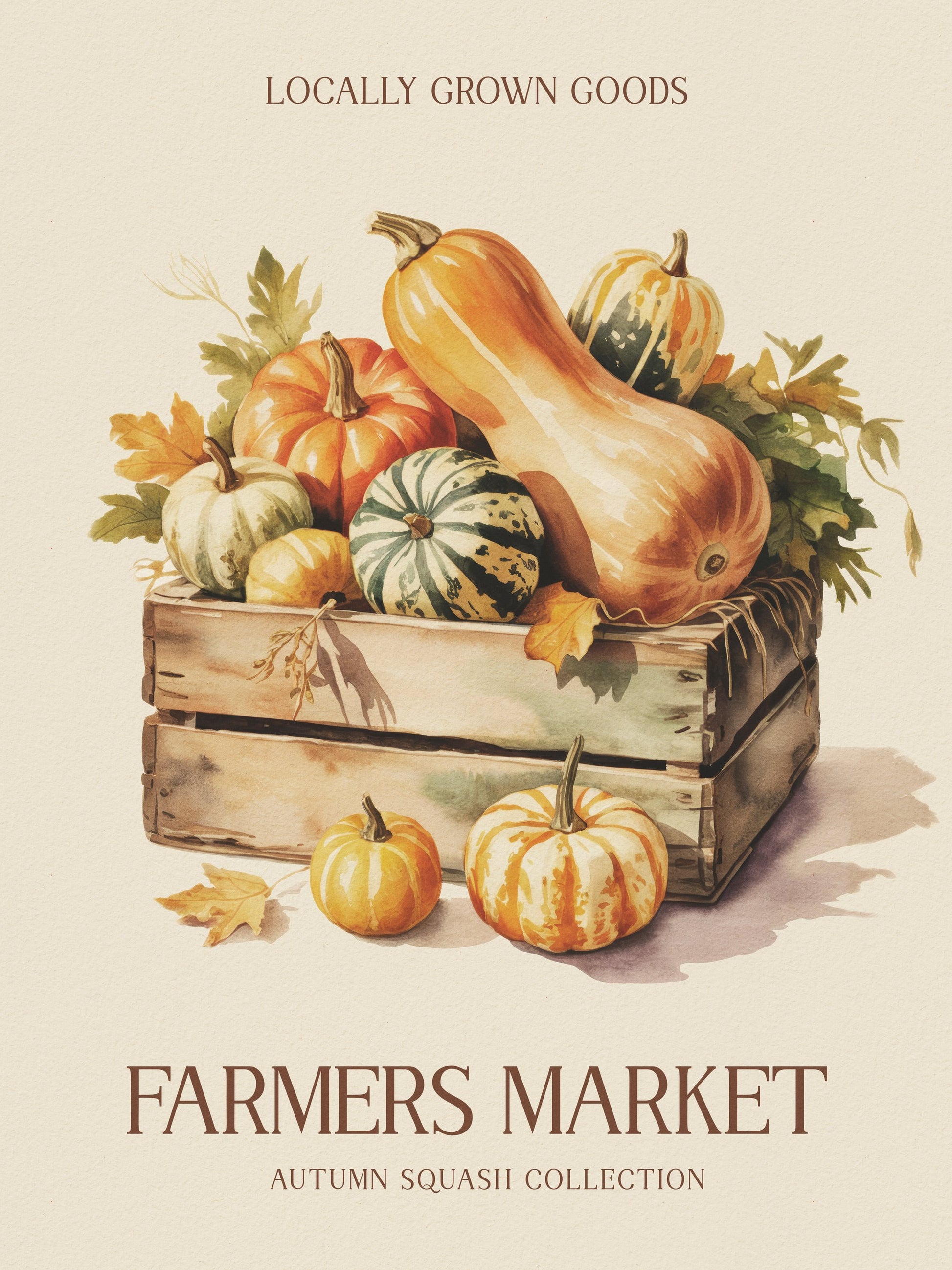 Farmers Market Squash - Poster / Art Print