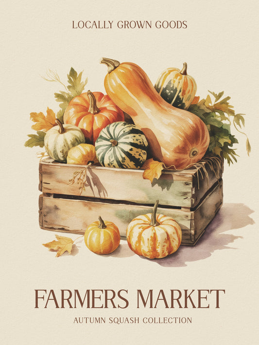 Farmers Market Squash - Poster / Art Print