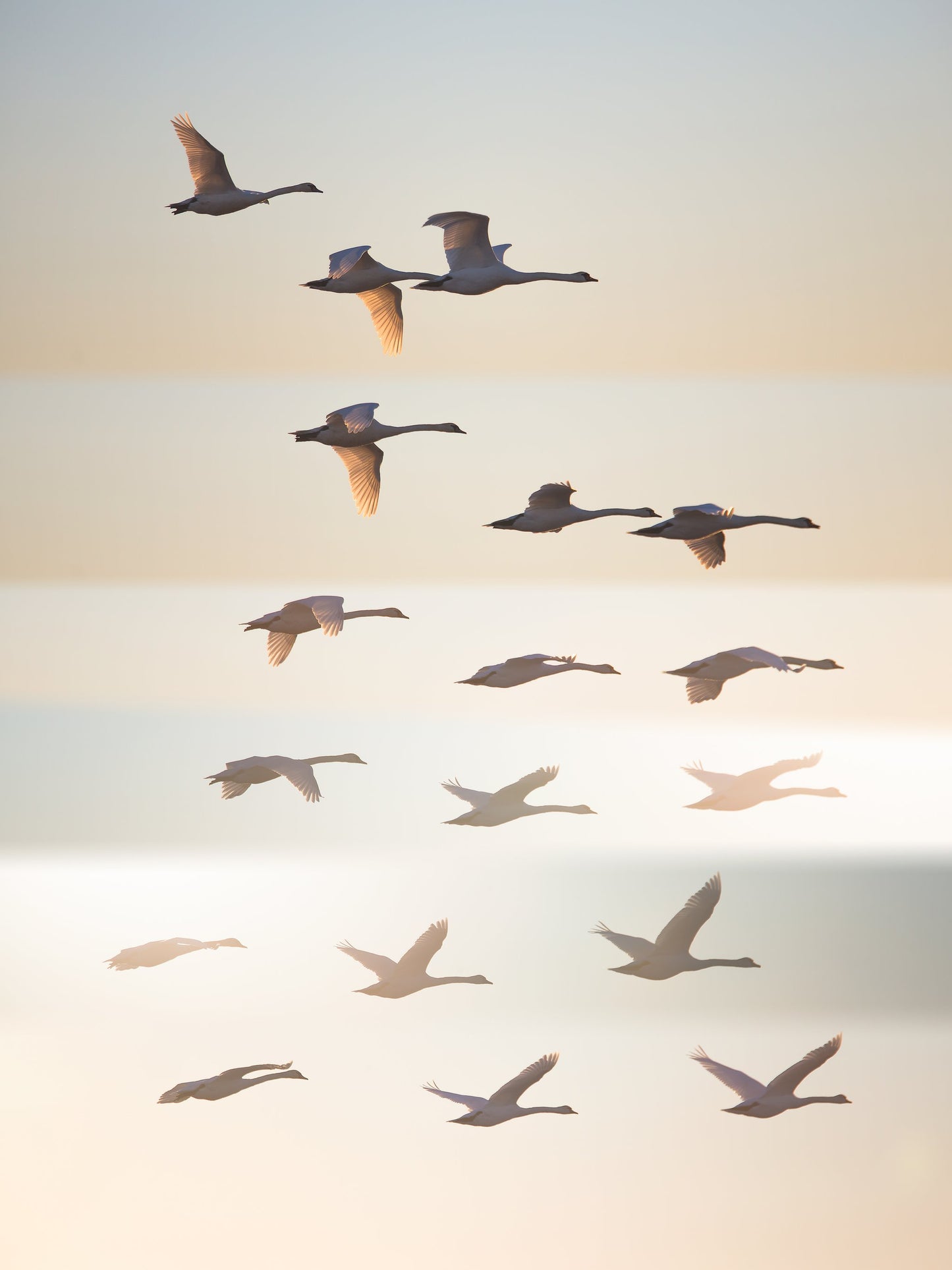 Past the sun. - Poster / Art Print