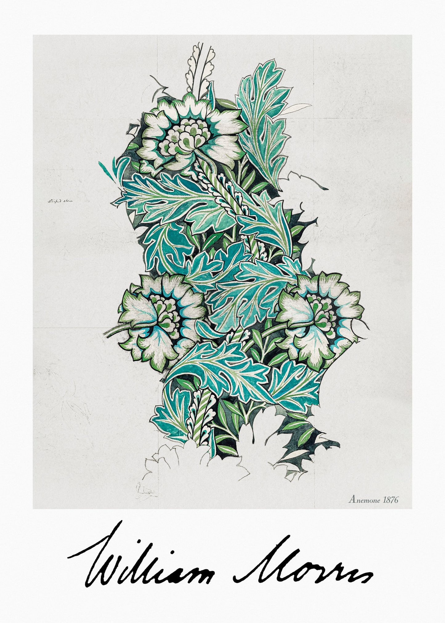 Anemone - Poster / Art Print
