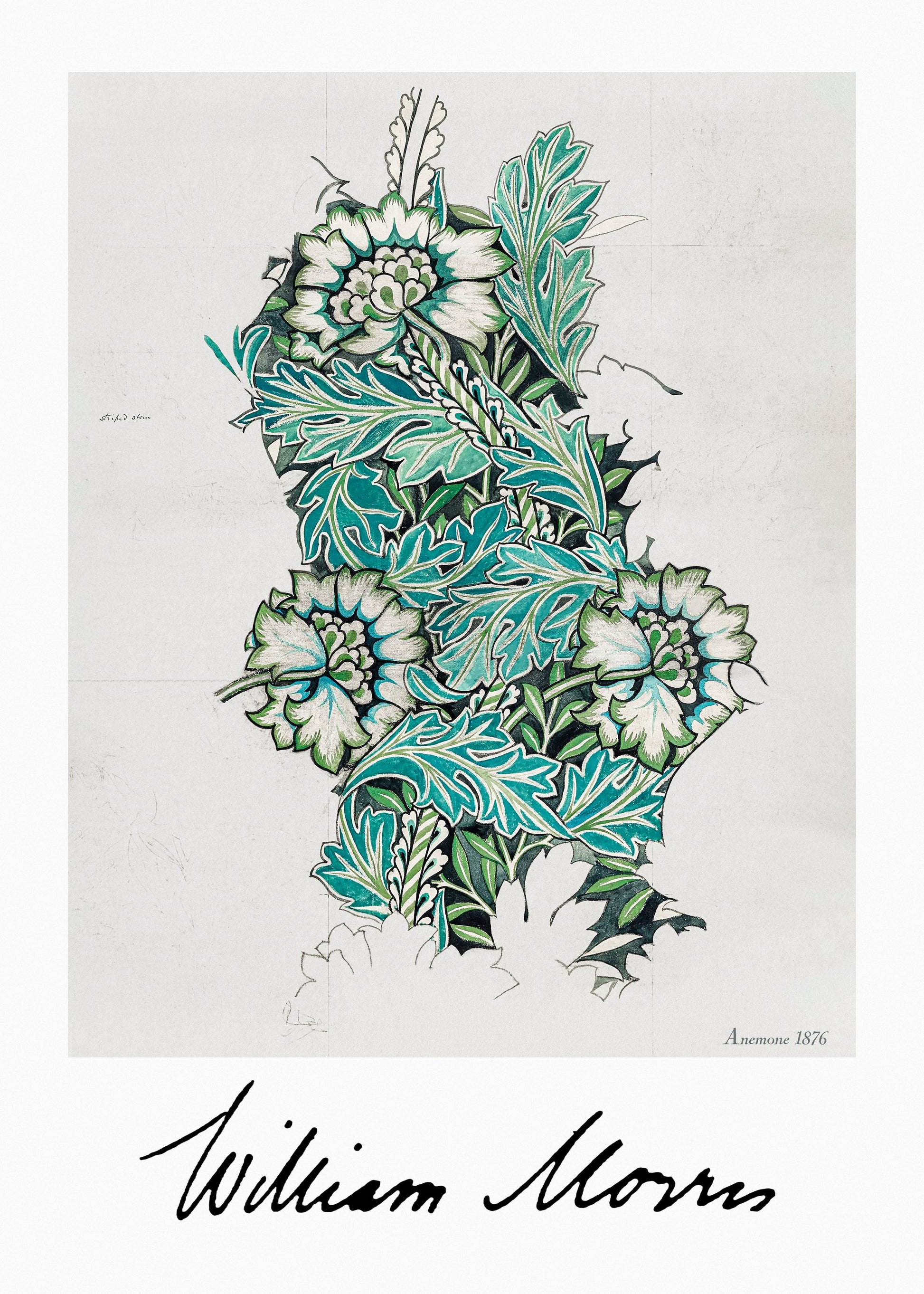 Anemone - Poster / Art Print