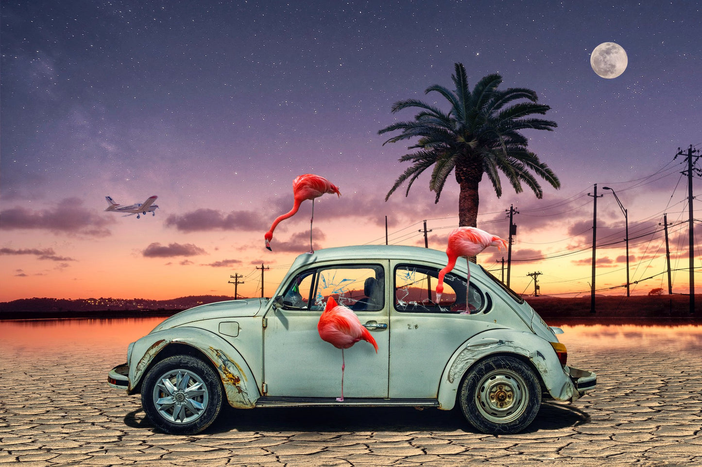 Flamingos Ate My Car - Poster / Art Print