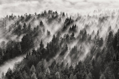 Sundance No.1 - Poster / Art Print