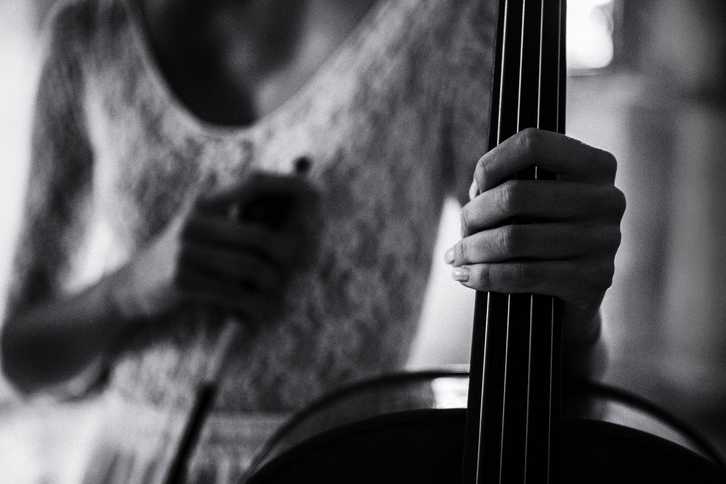 break for the cello - Poster / Art Print