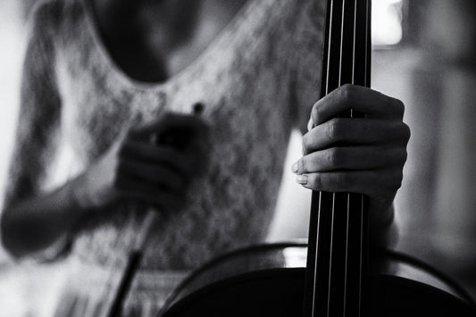break for the cello - Poster / Art Print