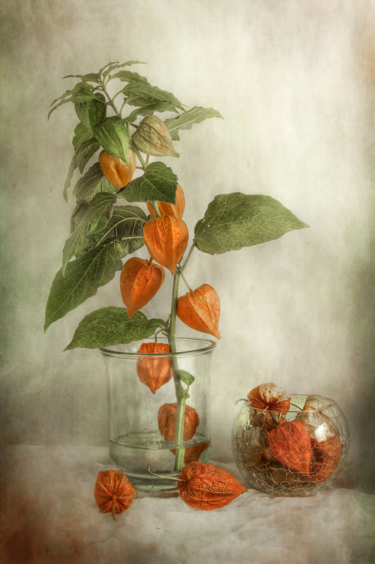 Lanterns - Poster / Art Print