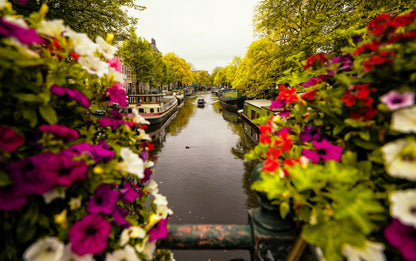 Floral in Amsterdam - Poster / Art Print