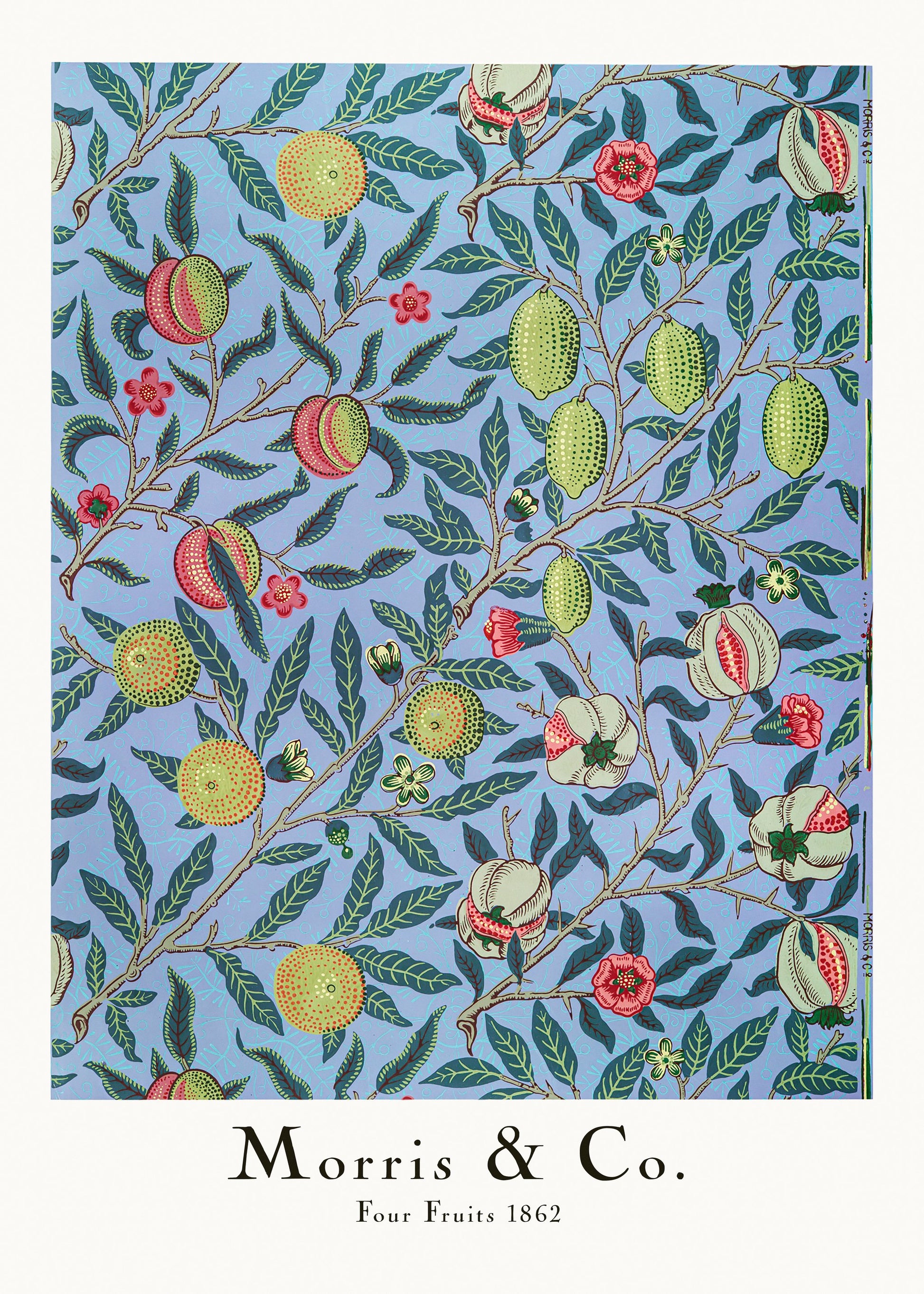 Four Fruits - Poster / Art Print