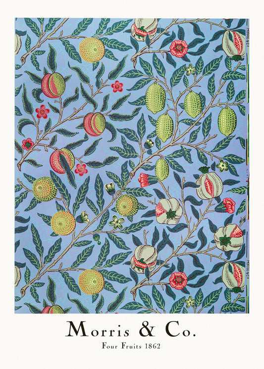 Four Fruits - Poster / Art Print