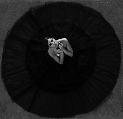 Black swan - Poster / Art Print
