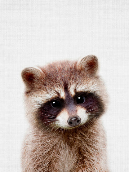 Peekaboo Raccoon - Poster / Art Print