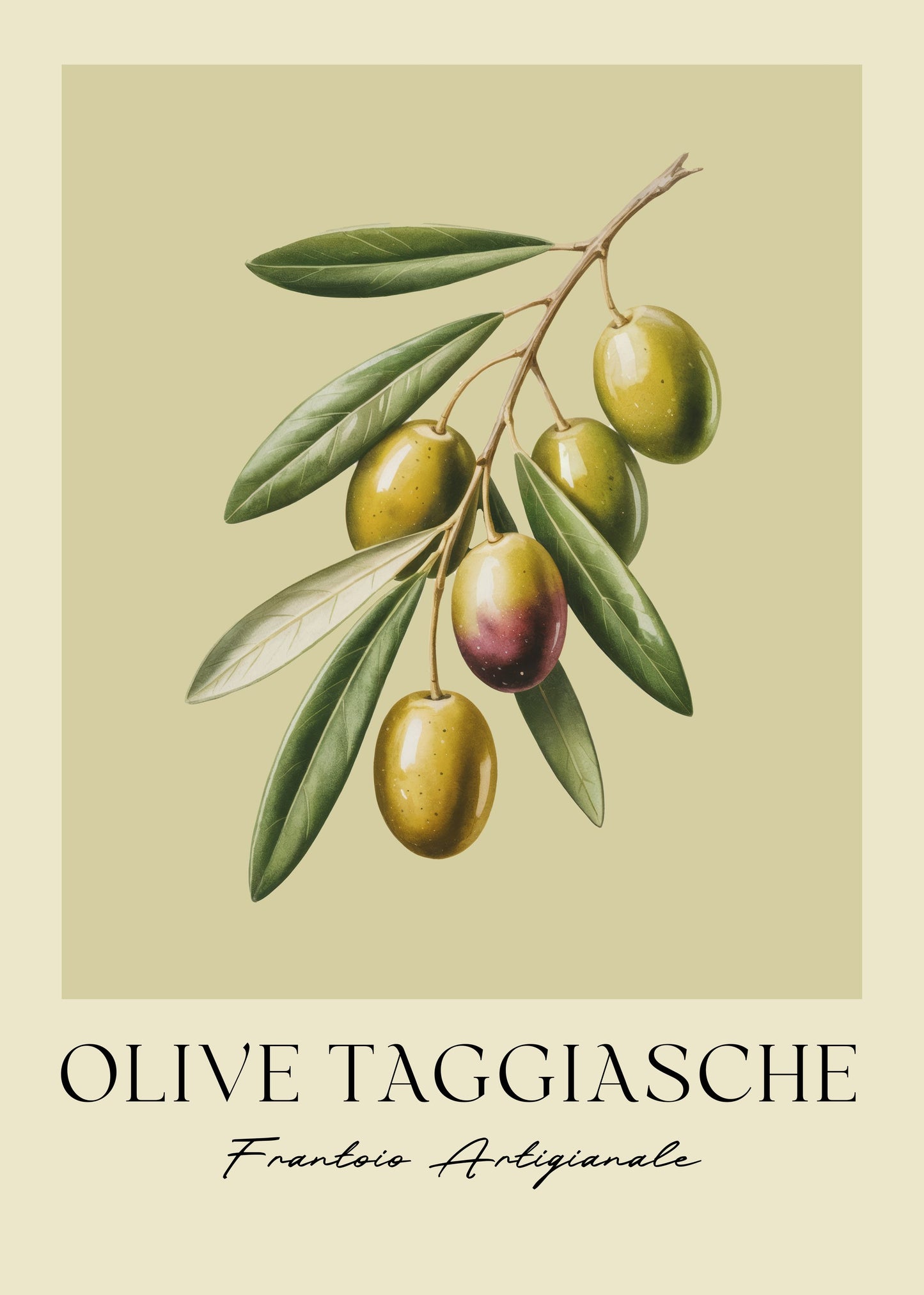 Olive Taggiasche - Poster / Art Print