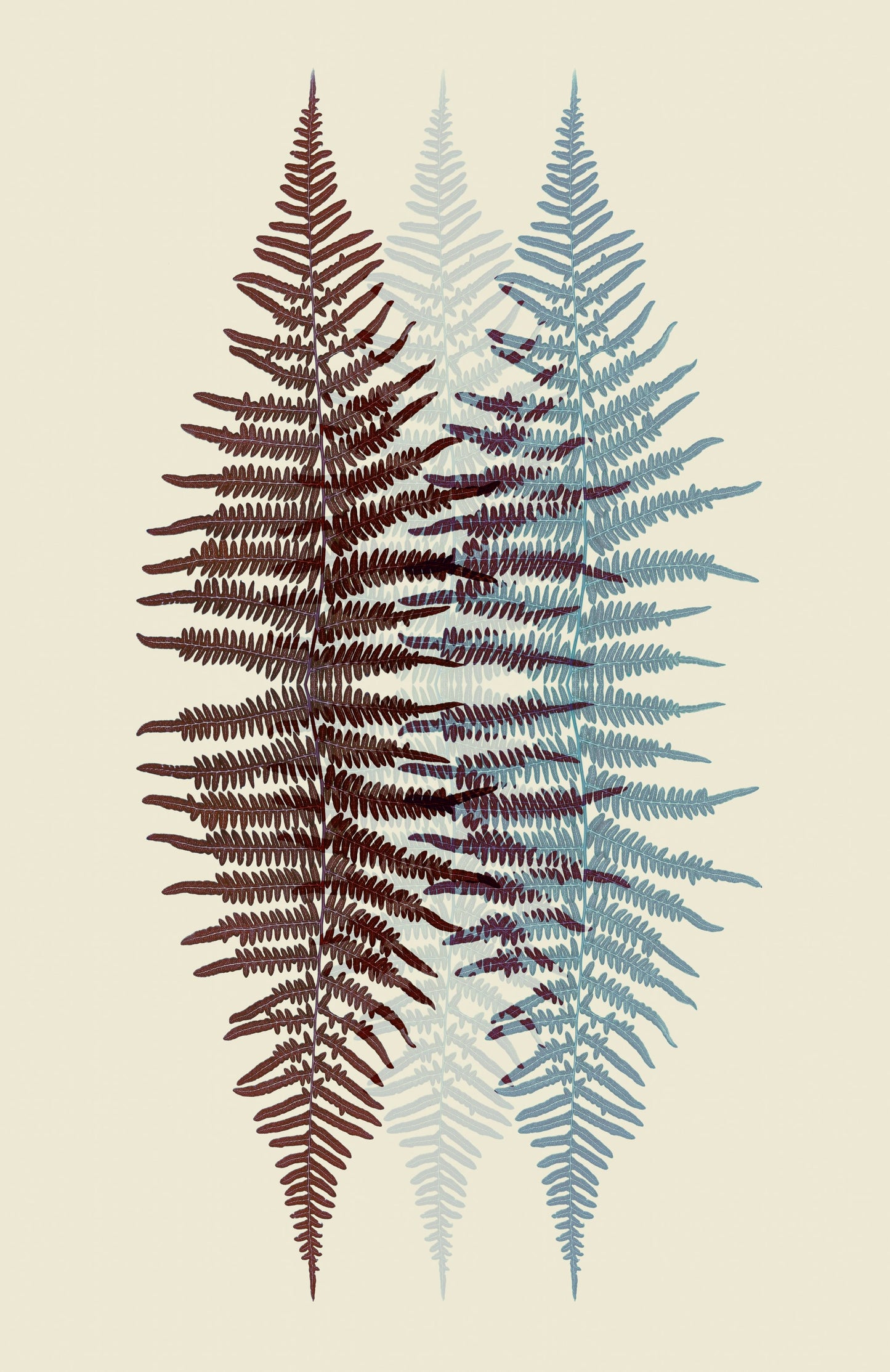 Chocolate and Teal Fern - Poster / Art Print
