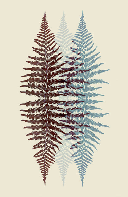 Chocolate and Teal Fern - Poster / Art Print