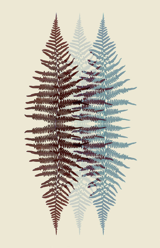 Chocolate and Teal Fern - Poster / Art Print