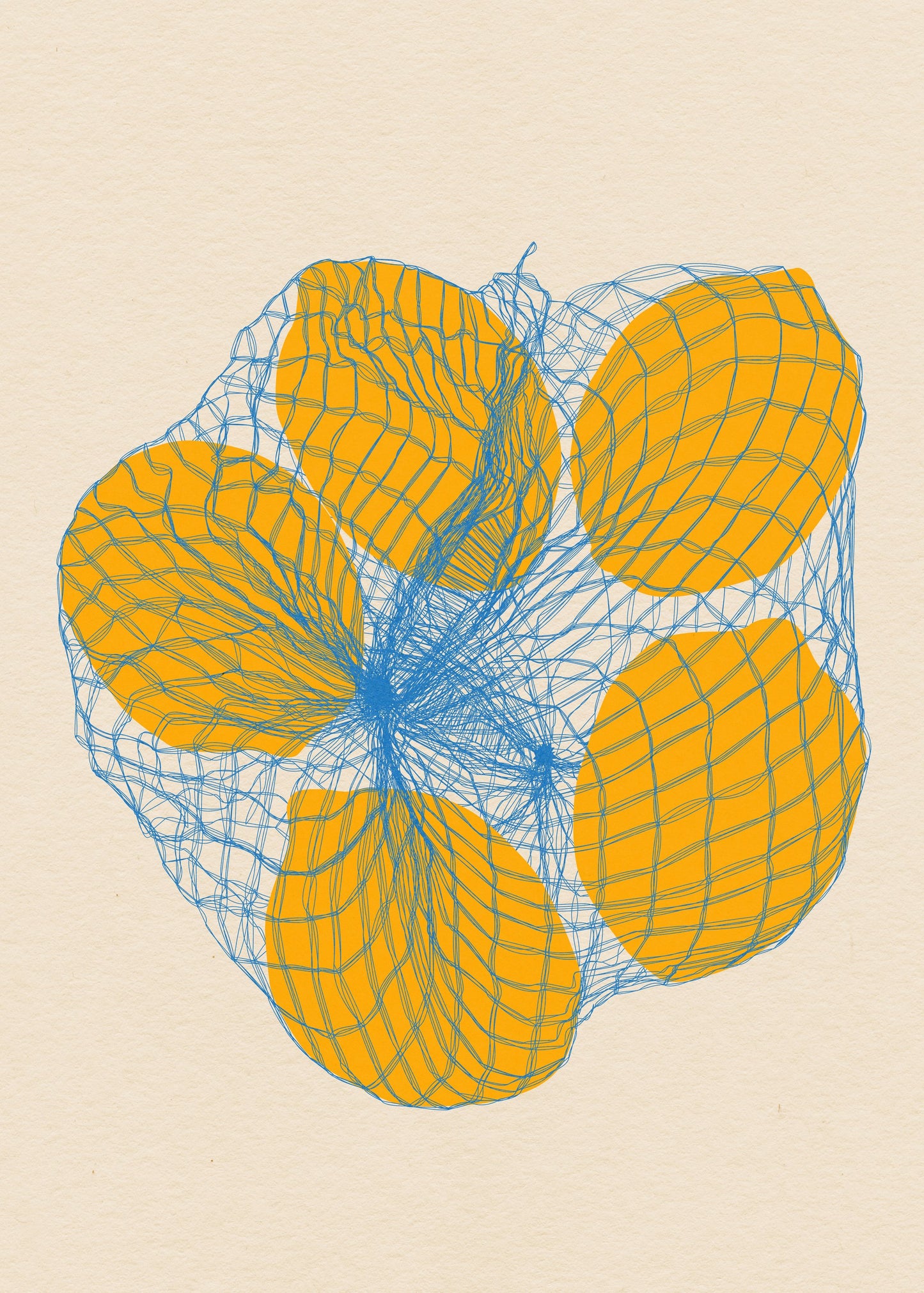 Five Lemons In a Net Bag - Poster / Art Print