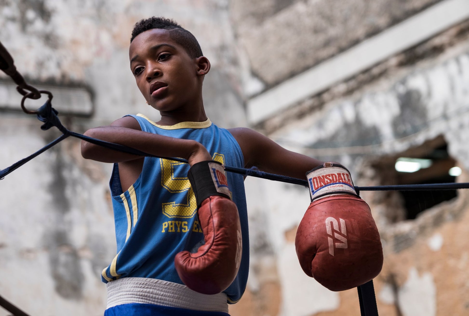 Boxing - Poster / Art Print