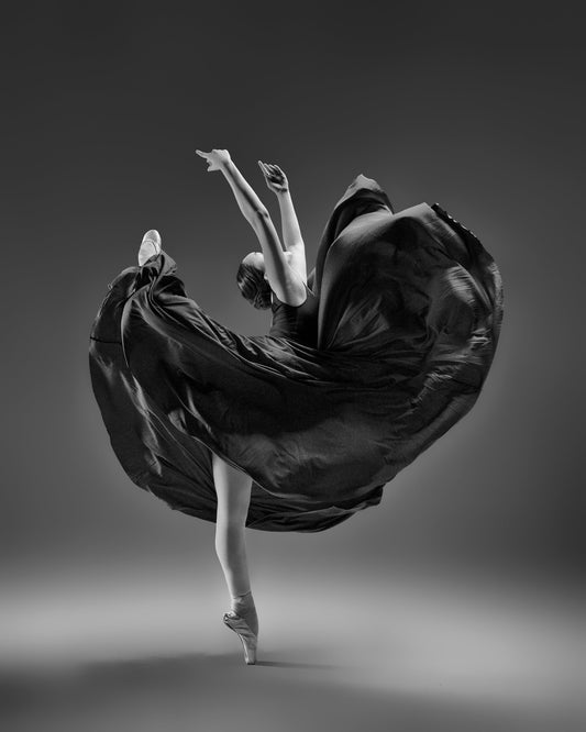 Dansar 5 - Poster / Art Print