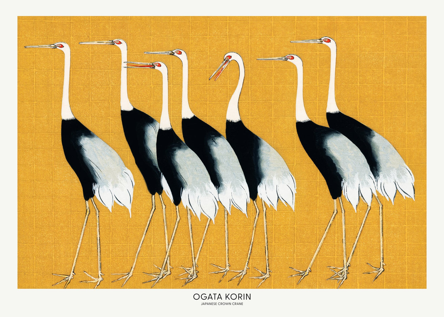 Japanese Red Crown Crane - Poster / Art Print