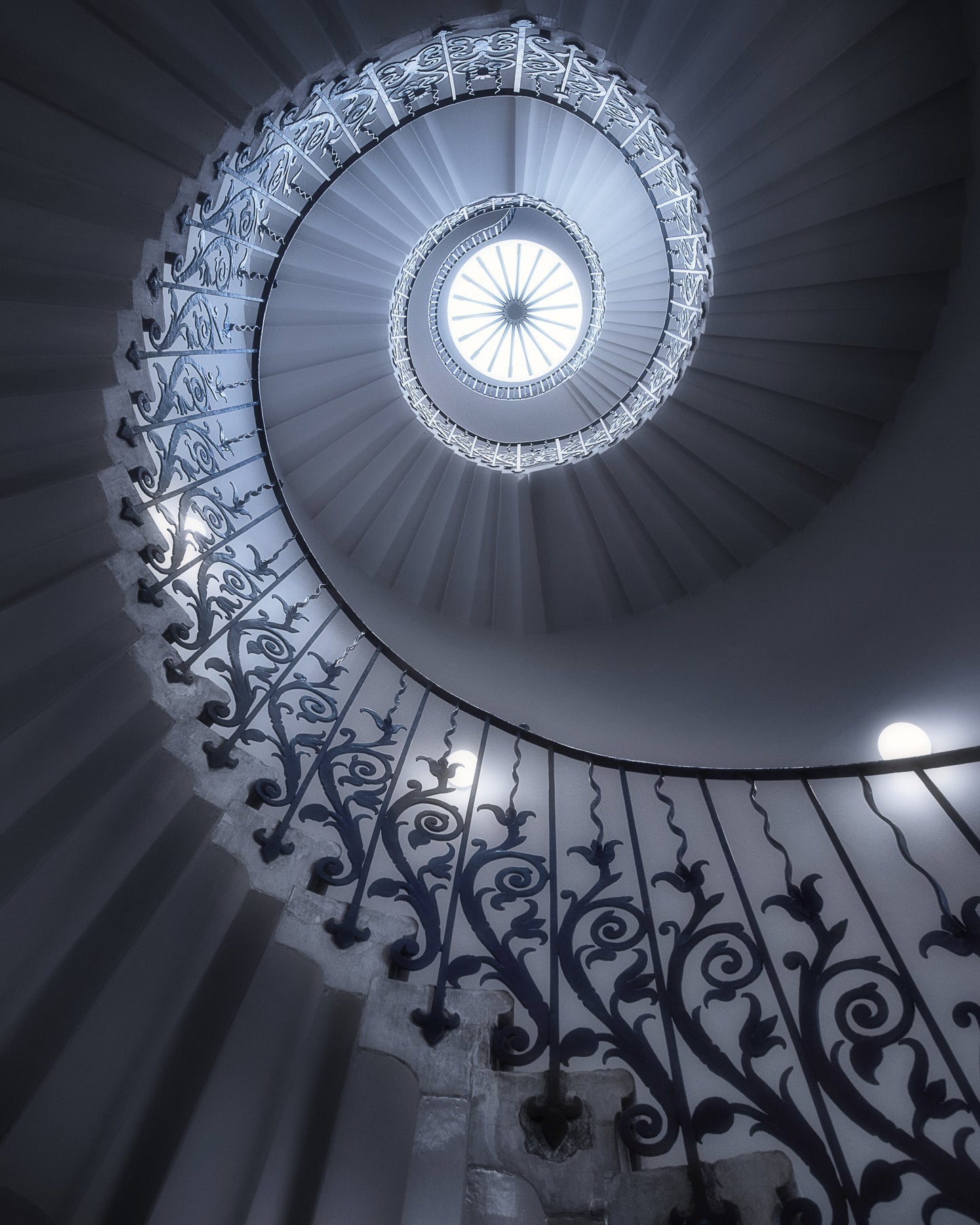 Tulip Stairs - Poster / Art Print