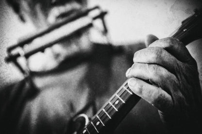 Wolf with mandolin and harmonica - Poster / Art Print