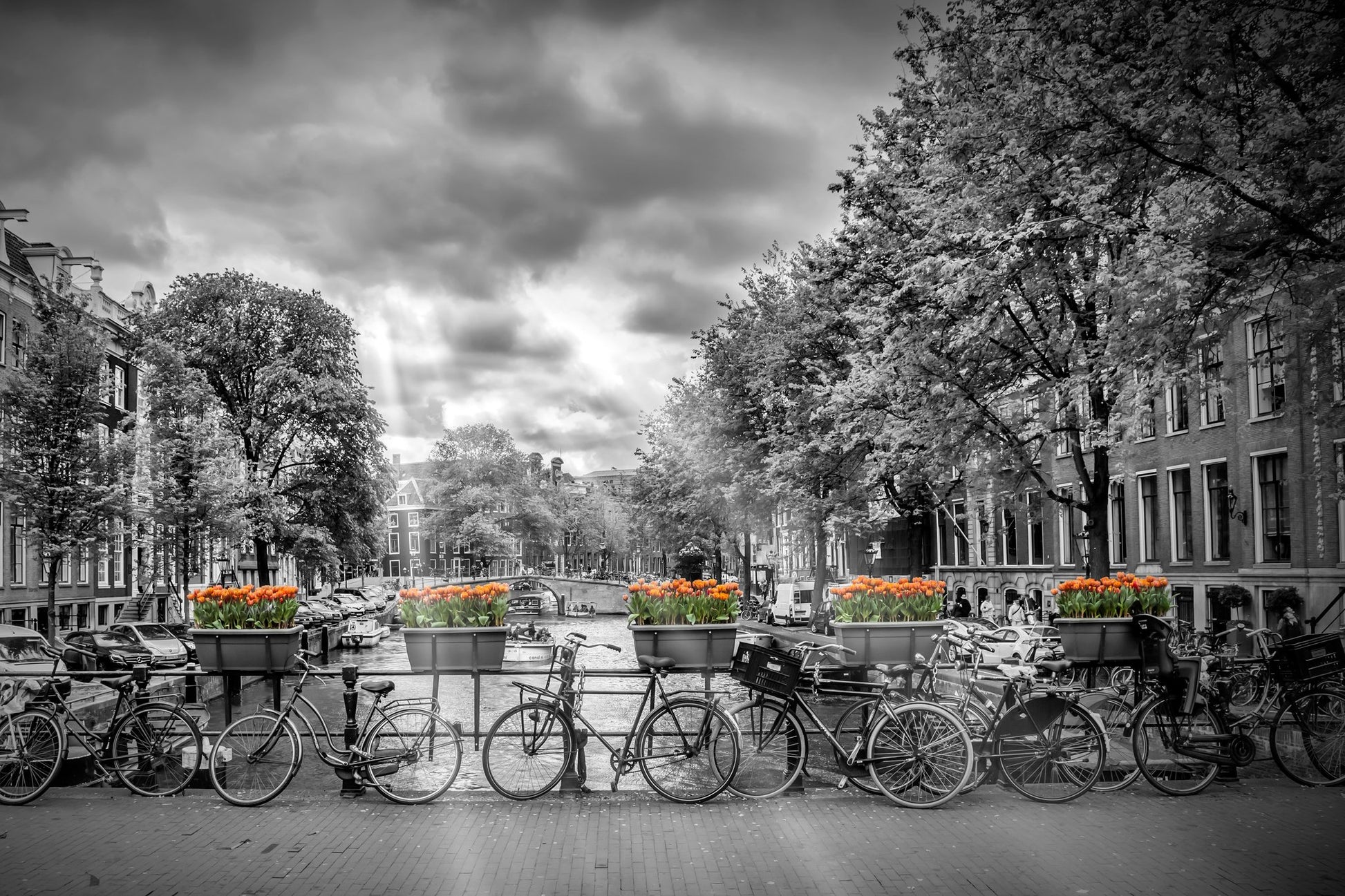 Typical Amsterdam - Poster / Art Print