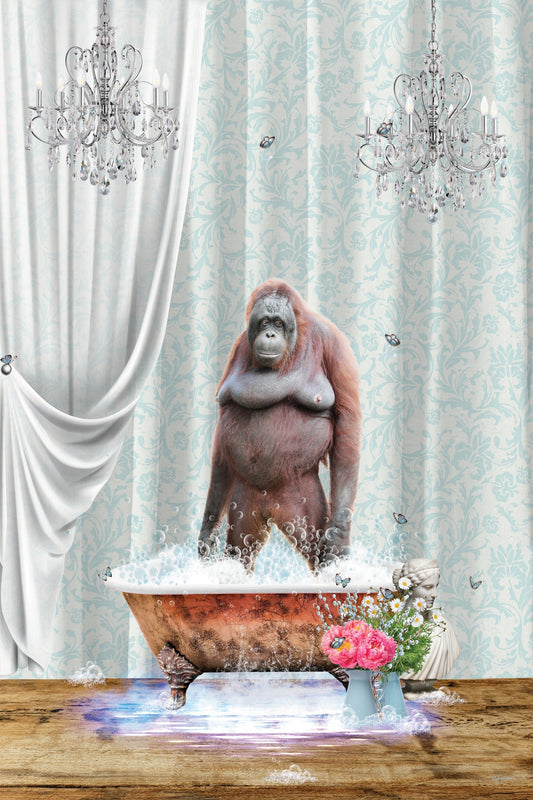 Orangutan & Bubbles - Poster / Art Print