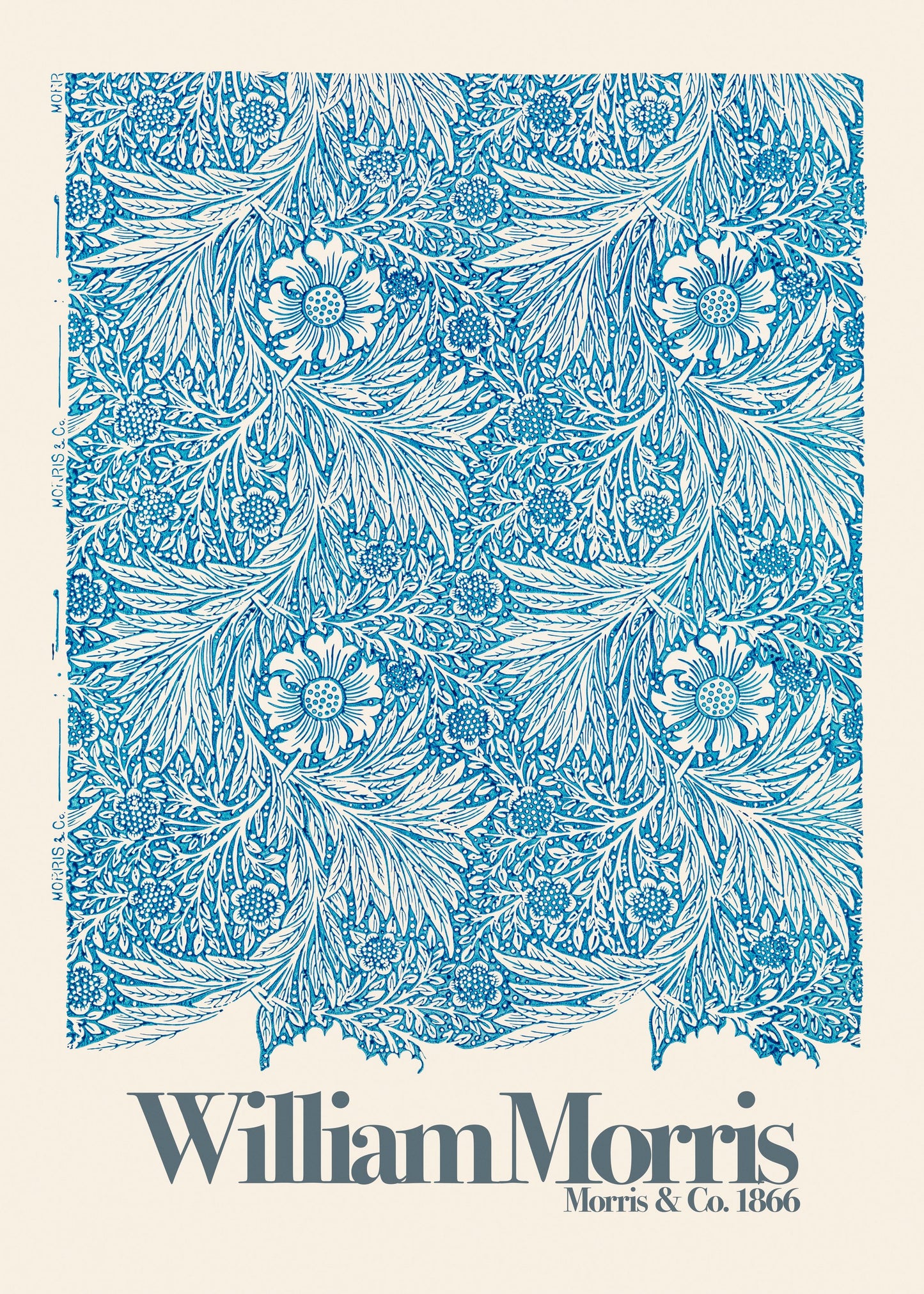 Marigold - Poster / Art Print