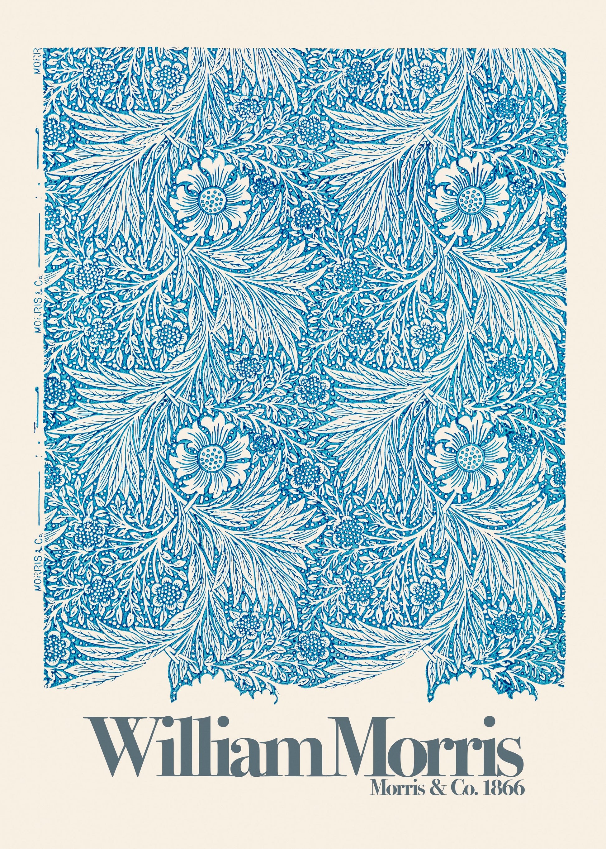 Marigold - Poster / Art Print