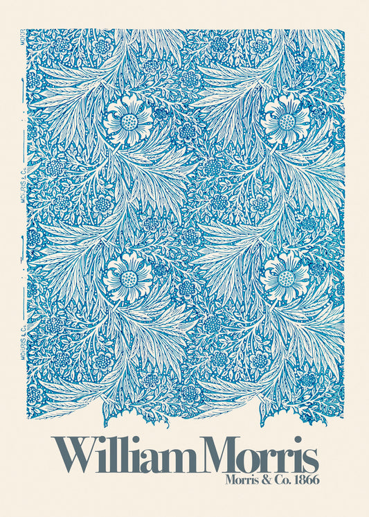 Marigold - Poster / Art Print