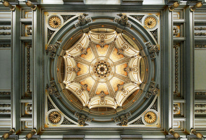 Looking up - Poster / Art Print