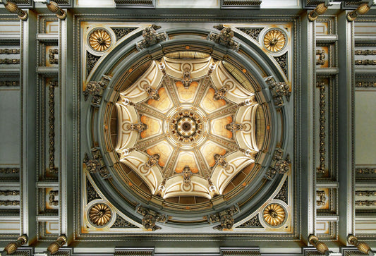 Looking up - Poster / Art Print