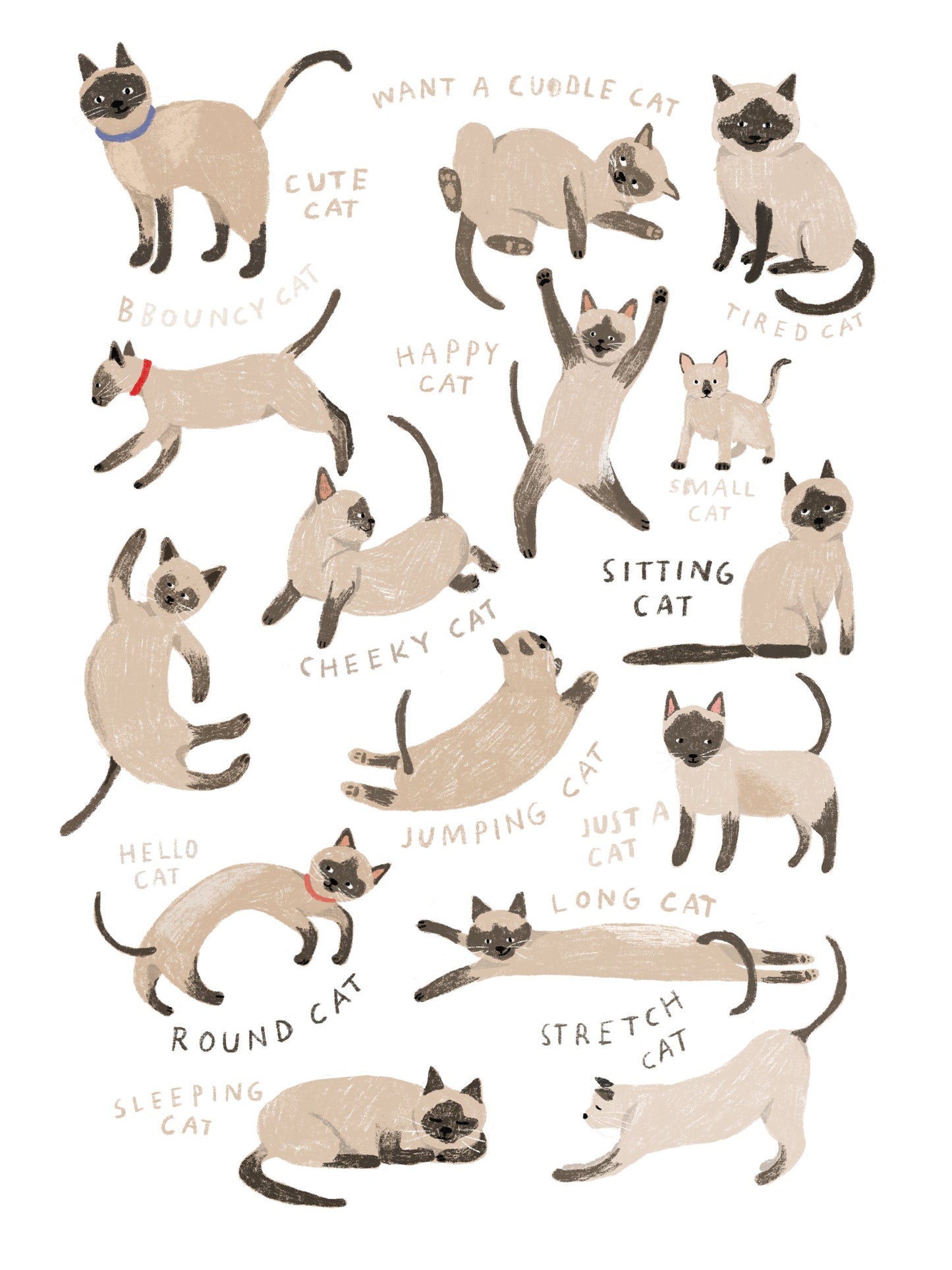 Siamese Cat Print - Poster / Art Print
