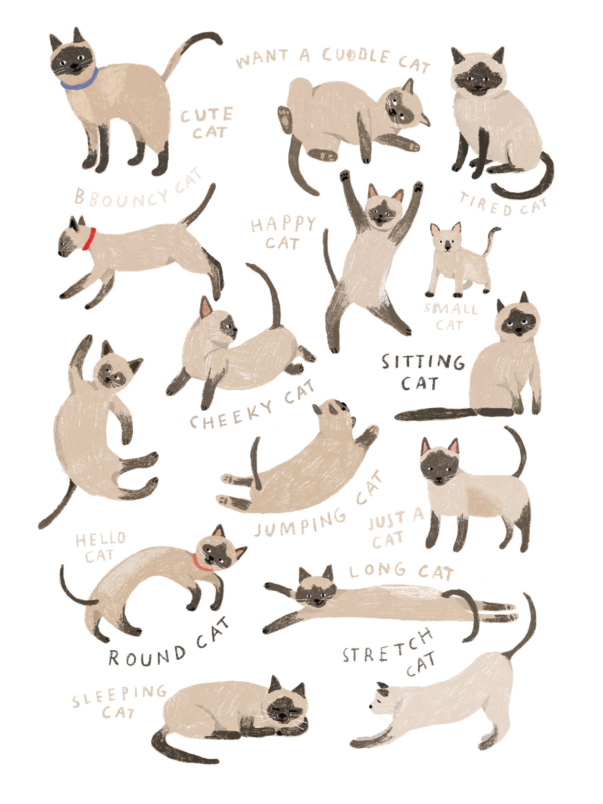 Siamese Cat Print - Poster / Art Print