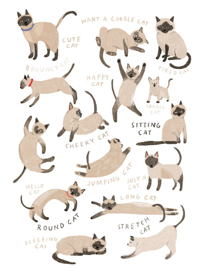 Siamese Cat Print - Poster / Art Print