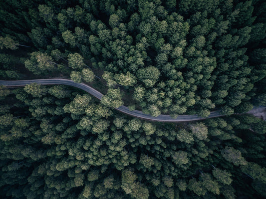 From above - Poster / Art Print