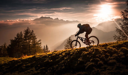 Golden hour biking - Poster / Art Print