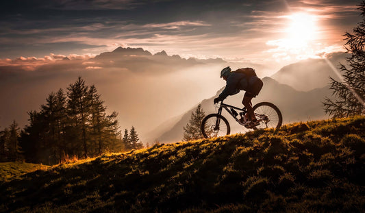Golden hour biking - Poster / Art Print