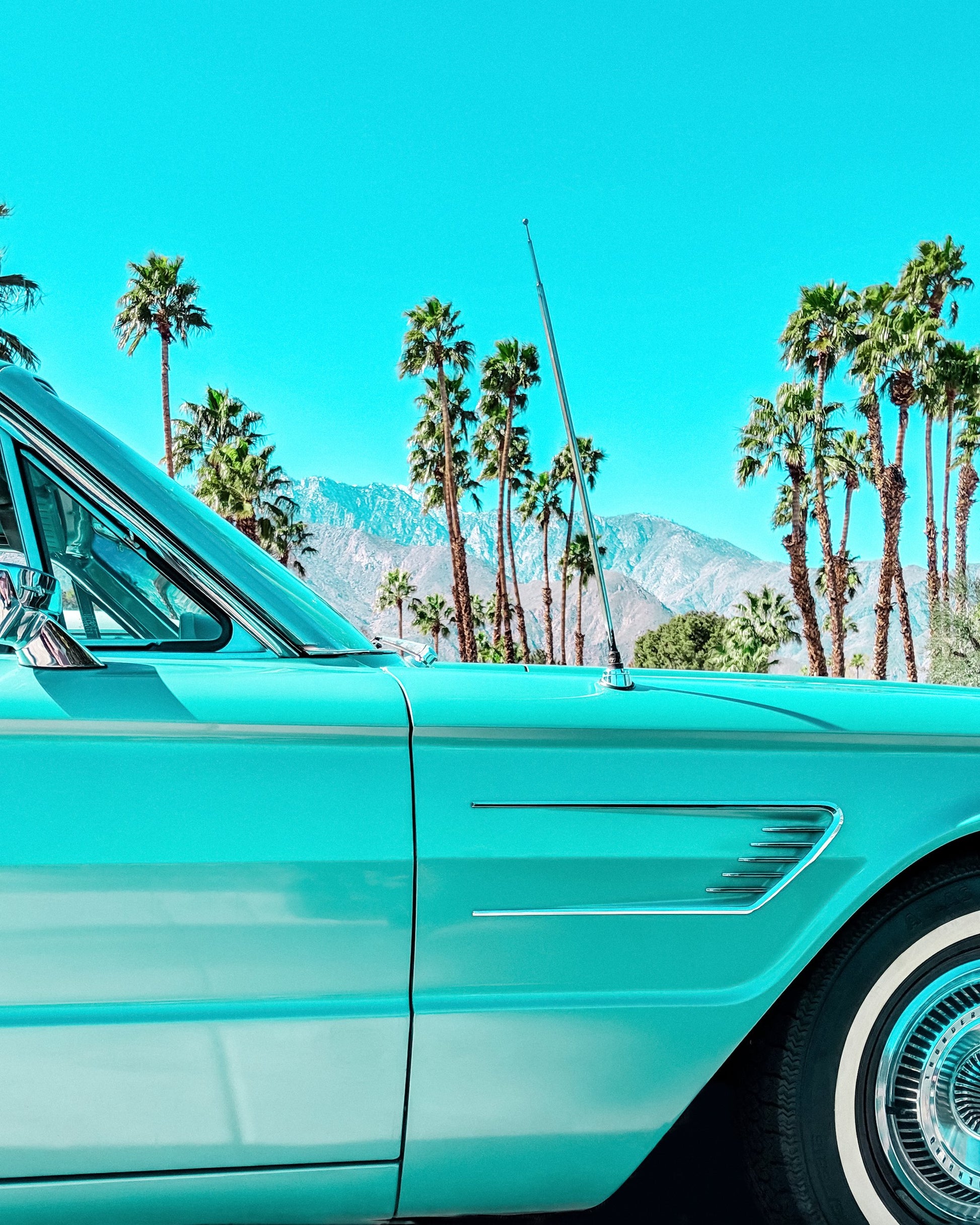 Teal Thunderbird in Palm Springs - Poster / Art Print