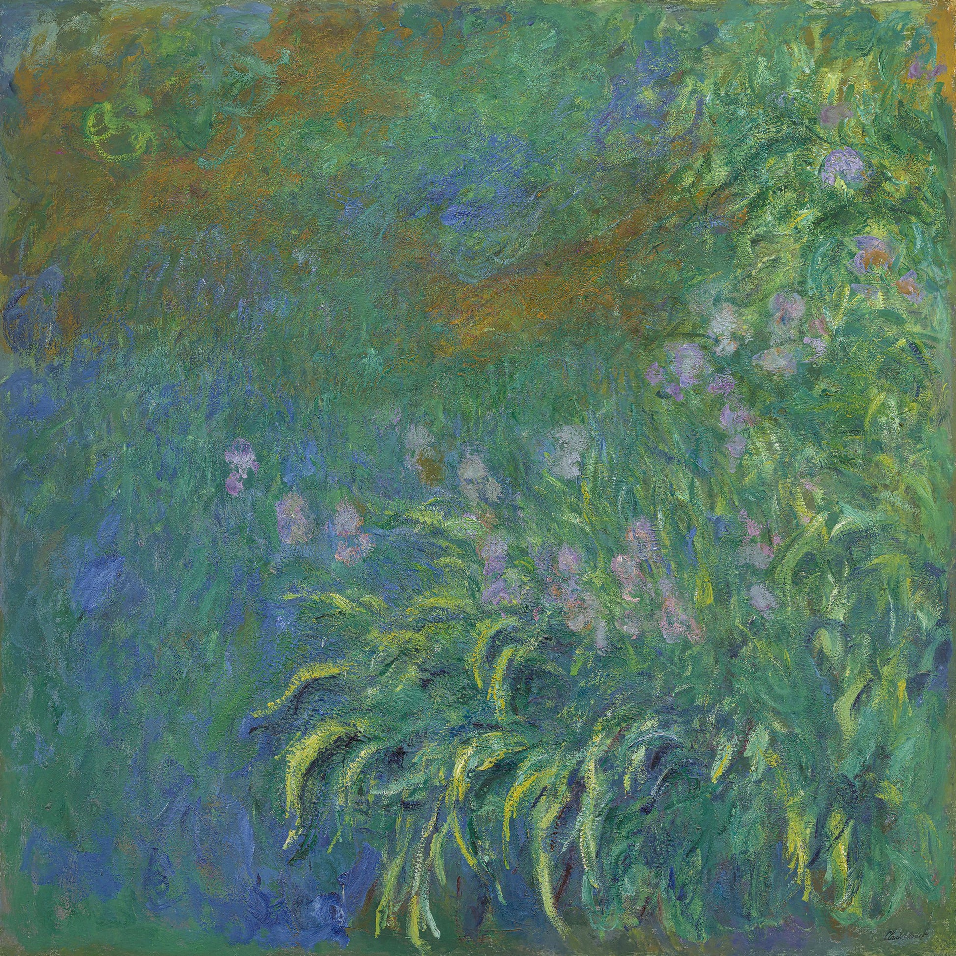 Irises By Claude Monet - Poster / Art Print