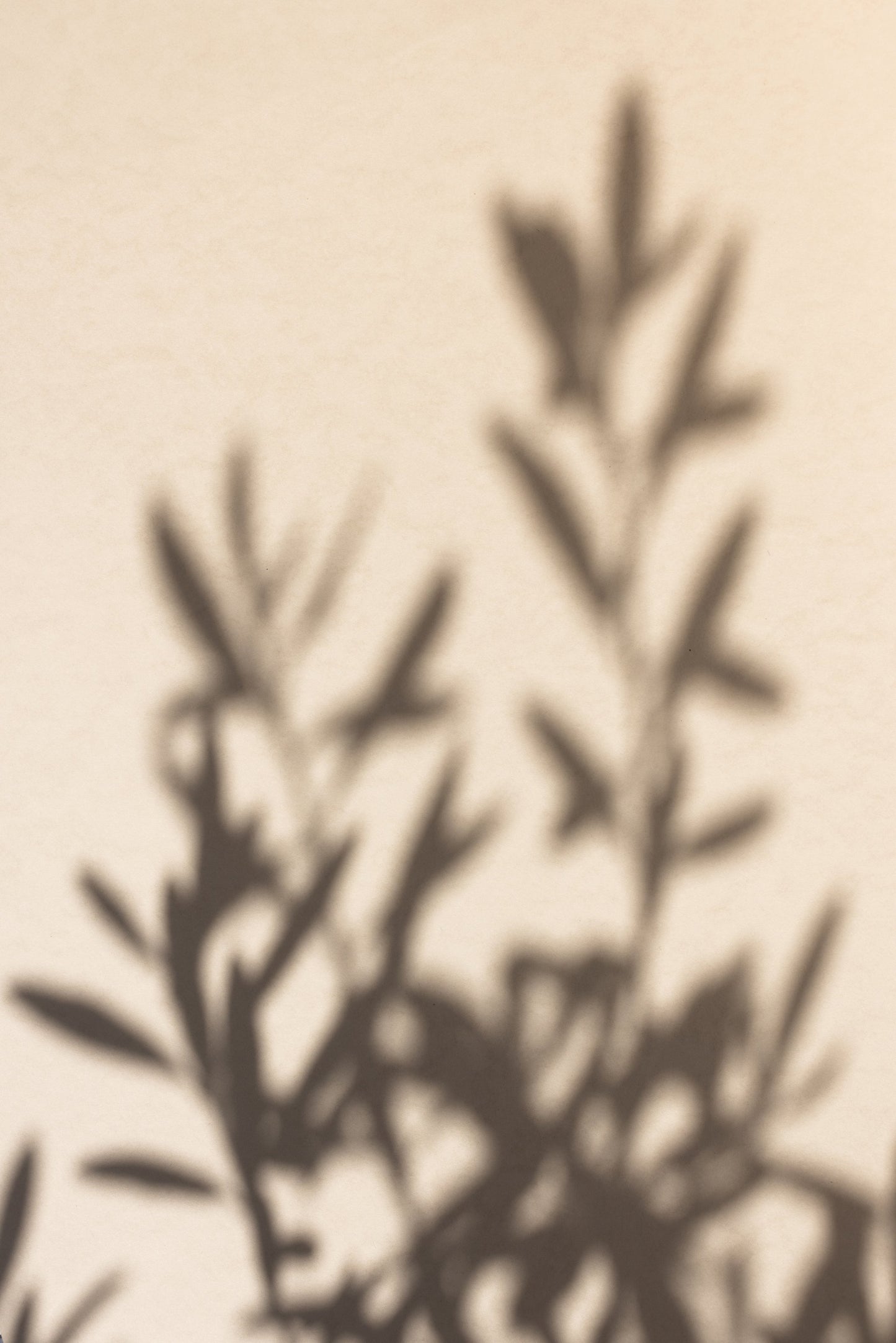 Summer Shadows 6 - Poster / Art Print