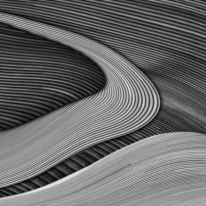 The wood project III - Zen garden - Poster / Art Print