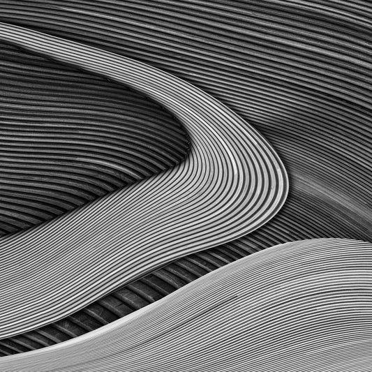 The wood project III - Zen garden - Poster / Art Print